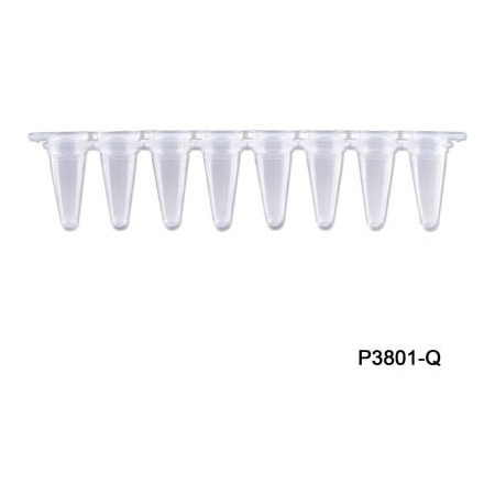 Mtc Bio MTC Bio PureAmp 8 Strips QPCR Tube with Separated Strip Cap, 0.1 ml, Clear, 120 Pack P3801-Q